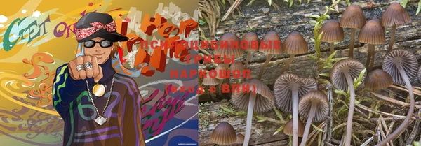 прущая мука Краснослободск