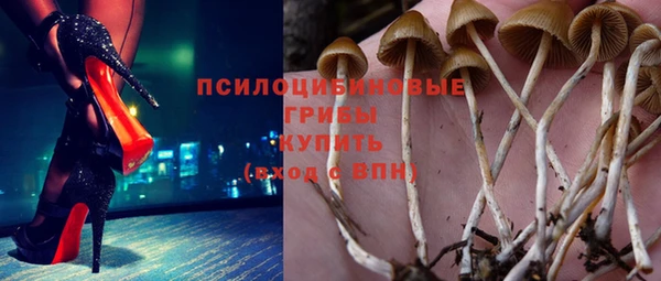 прущая мука Краснослободск